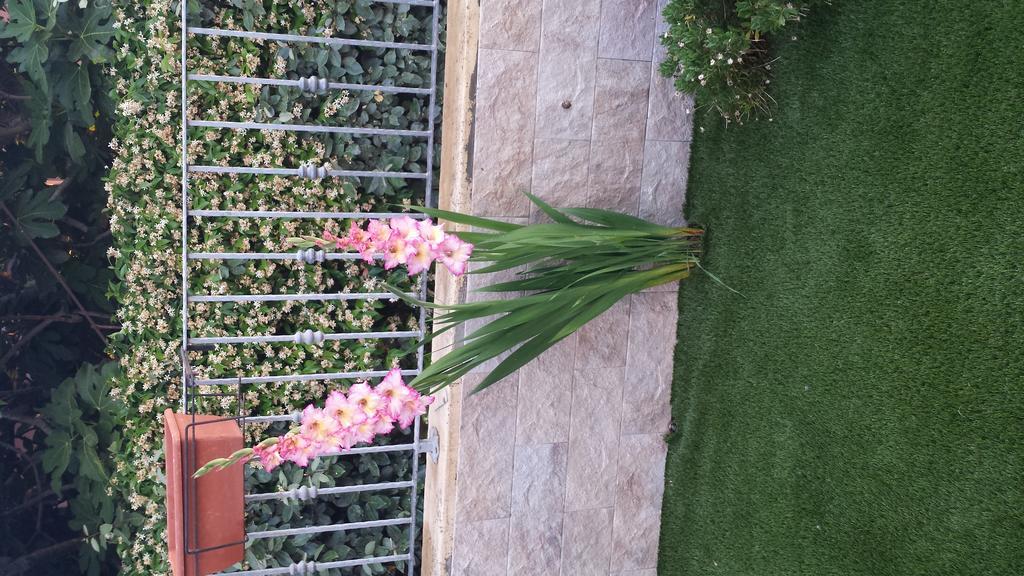 Villa Casa Con Giardino à Olbia Extérieur photo